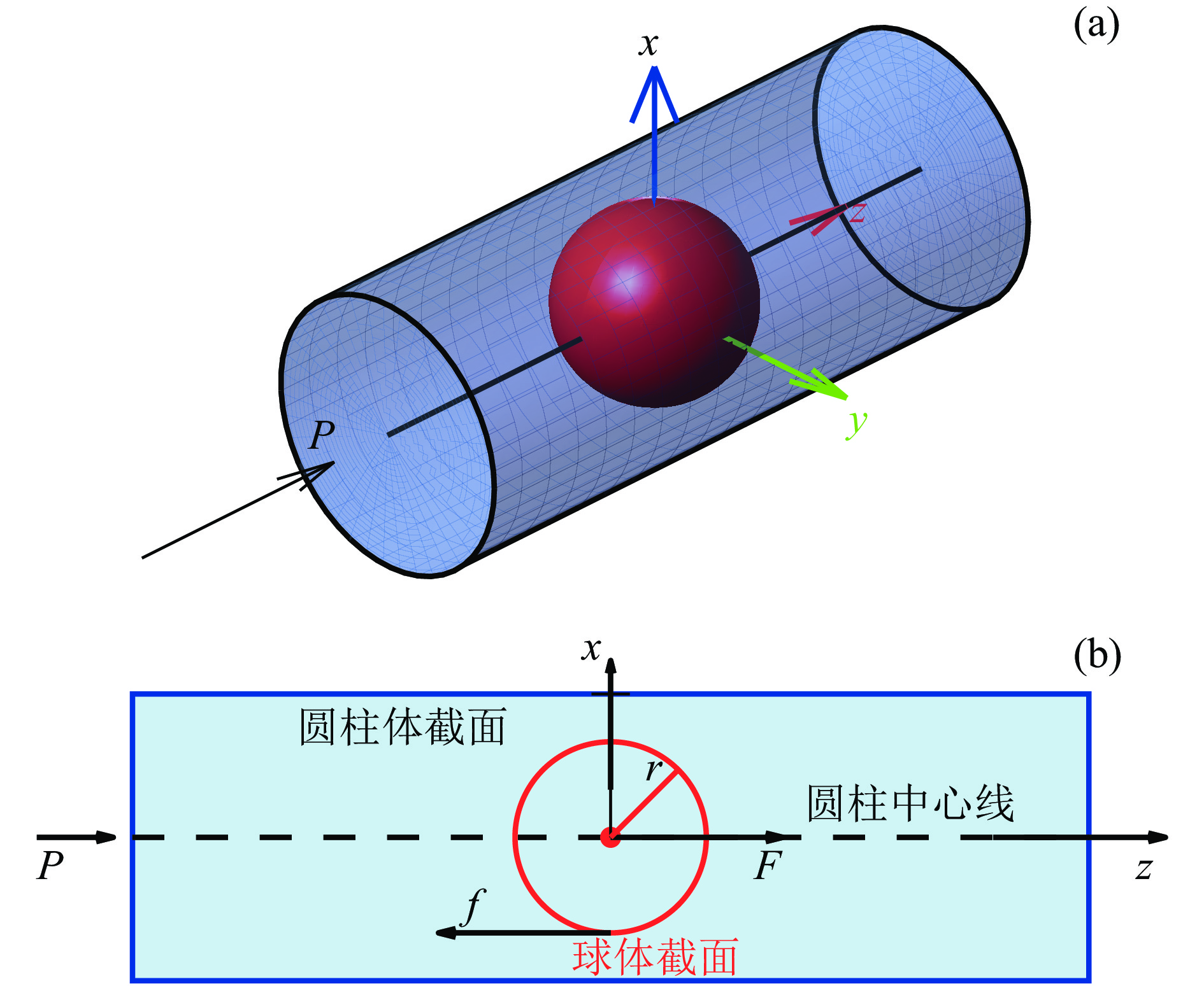 声波作用下管中球形粒子模型(声辐射力作用点在球心) (a) 三维; (b) 二维